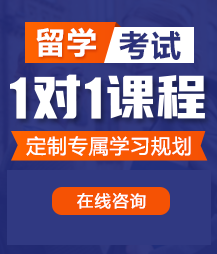 插的啊啊受不了出水留学考试一对一精品课